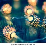 法老王平台的用户体验:打造无缝连接的数字生态 kzwcibf