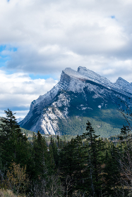 2025年第114期3D开奖结果最新公布查询 2025年第114期3D开奖结果最新公布查询