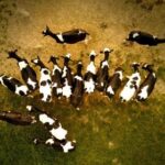 2025年第205期3D开奖结果最新公布 58pu41vndn