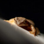 2025年香港码特开奖结果查询与最新资讯 5fb9tzoe