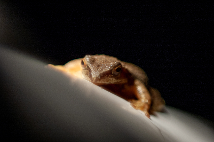 2025年香港码特开奖结果查询与最新资讯 2025年香港码特开奖结果查询与最新资讯