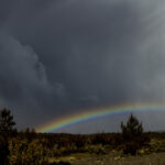 2025期大乐透开奖号码及中奖结果查询 5s0m3