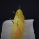 2025年第48期开奖结果查询与号码公布 g2w1xztk