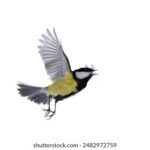 2025年足彩开奖最新结果与中奖号码查询 kc0r68x8j