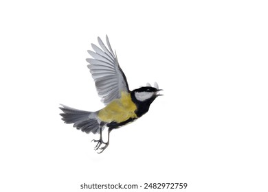 2025年足彩开奖最新结果与中奖号码查询 2025年足彩开奖最新结果与中奖号码查询