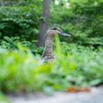 2025年第159期3D开奖结果最新公布 nuzxjq2nz