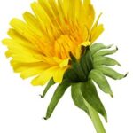 2025年第195期3D福利彩票开奖结果查询 q120zynpql