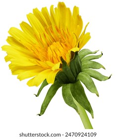 2025年第195期3D福利彩票开奖结果查询 2025年第195期3D福利彩票开奖结果查询