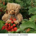 GTV网络棋牌频道直播:高手对决精彩牌局全解析 sdo2y0f02