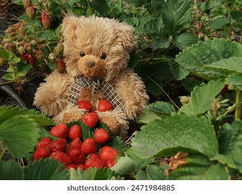 GTV网络棋牌频道直播:高手对决精彩牌局全解析 GTV网络棋牌频道直播:高手对决精彩牌局全解析