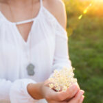 2025年香港六合彩全年开奖记录完整汇总 si62t