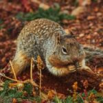 HBO在线直播:热门美剧与电影实时观看指南 tgwfp