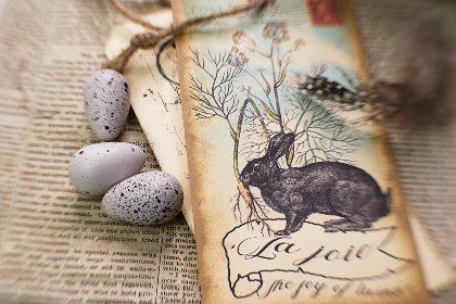 G直播助教:高效互动与个性化辅导新体验 G直播助教:高效互动与个性化辅导新体验